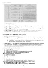 Vadybos konspektas atsiskaitymui 9 puslapis