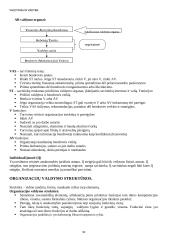 Vadybos konspektas atsiskaitymui 10 puslapis