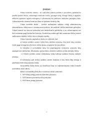 Vidaus kontrolės sistemos reglamentavimas 2 puslapis