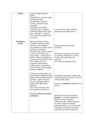 Literatūros pamokos planas K. Saja "Reptilija" 2 puslapis