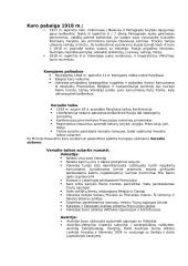 Pirmasis pasaulinis karas konspektas 2 puslapis