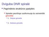 DNR ir RNR molekulinė struktūra 16 puslapis