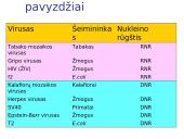 DNR ir RNR molekulinė struktūra 5 puslapis