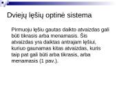 Paprastieji optiniai prietaisai 2 puslapis