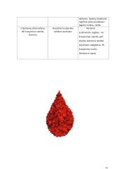 Pacientų sergančių hemofilija slaugos ypatumai 13 puslapis