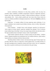 Pacientų sergančių hemofilija slaugos ypatumai 4 puslapis