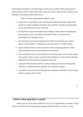 Pažintinės praktikos ataskaita 11 puslapis