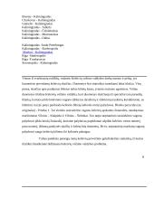 Pažintinės praktikos ataskaita 13 puslapis