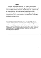 Pažintinės praktikos ataskaita 5 puslapis