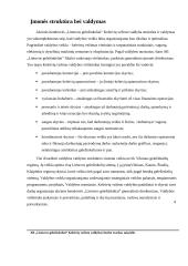 Pažintinės praktikos ataskaita 7 puslapis