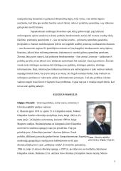 Eligijus Masiulis 5 puslapis