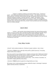 Įmonės socialinė atsakomybė 2 puslapis