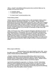 Įmonės socialinė atsakomybė 7 puslapis