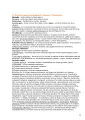 Sociologijos ir politologijos santrauka 13 puslapis