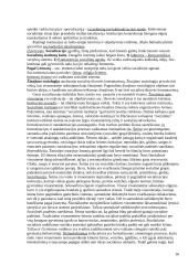 Sociologijos ir politologijos santrauka 16 puslapis