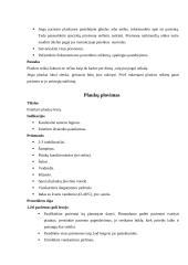 Paciento asmens higienos palaikymas 13 puslapis