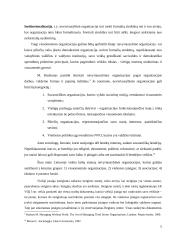 Biudžetinė ir viešoji įstaiga 5 puslapis