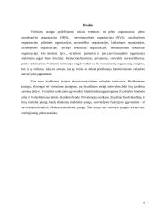 Biudžetinė ir viešoji įstaiga 9 puslapis