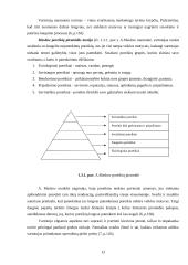 X įmonės vartotojų elgsenos įvertinimas 13 puslapis