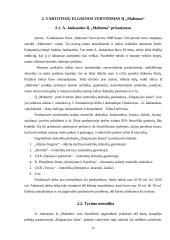 X įmonės vartotojų elgsenos įvertinimas 17 puslapis