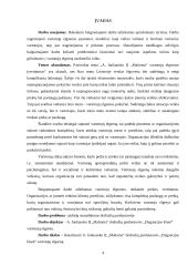 X įmonės vartotojų elgsenos įvertinimas 4 puslapis