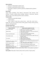 X įmonės vartotojų elgsenos įvertinimas 5 puslapis