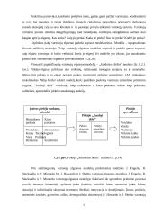 X įmonės vartotojų elgsenos įvertinimas 7 puslapis