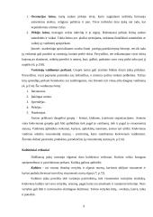 X įmonės vartotojų elgsenos įvertinimas 9 puslapis