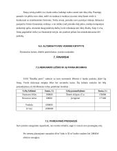 UAB “Rusiška pirtis” verslo planas 19 puslapis