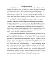 UAB “Rusiška pirtis” verslo planas 3 puslapis