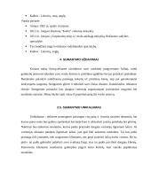 UAB “Rusiška pirtis” verslo planas 5 puslapis