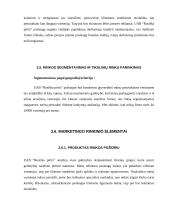 UAB “Rusiška pirtis” verslo planas 8 puslapis