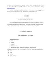 UAB “Rusiška pirtis” verslo planas 10 puslapis