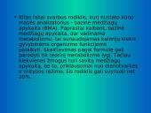 Dieta (skaidrės) 6 puslapis