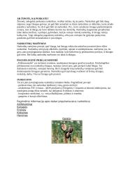 Namų darbas apie narkotikus 3 puslapis