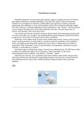 Namų darbas apie narkotikus 4 puslapis