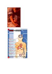 Namų darbas apie narkotikus 5 puslapis