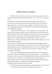 Vaiko kalbos charakteristika nuo gimimo iki mokyklos 13 puslapis