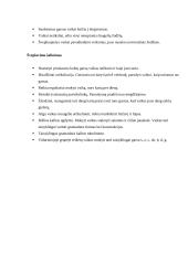 Vaiko kalbos charakteristika nuo gimimo iki mokyklos 14 puslapis