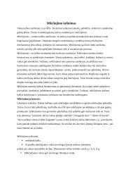 Vaiko kalbos charakteristika nuo gimimo iki mokyklos 15 puslapis