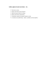 Vaiko kalbos charakteristika nuo gimimo iki mokyklos 18 puslapis