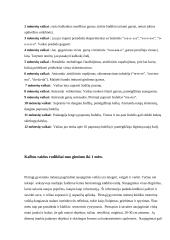 Vaiko kalbos charakteristika nuo gimimo iki mokyklos 4 puslapis