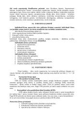 Aprašas kaip organizuoti verslą 2 puslapis