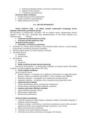 Aprašas kaip organizuoti verslą 3 puslapis