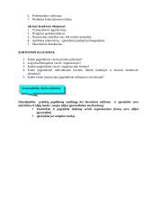 Aprašas kaip organizuoti verslą 4 puslapis