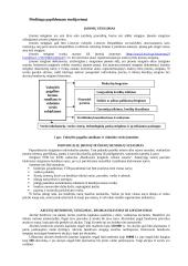 Aprašas kaip organizuoti verslą 5 puslapis