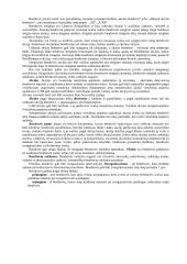 Aprašas kaip organizuoti verslą 6 puslapis