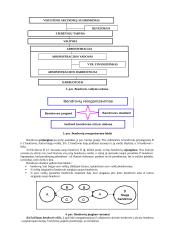Aprašas kaip organizuoti verslą 7 puslapis