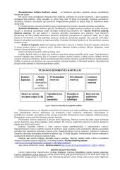 Aprašas kaip organizuoti verslą 8 puslapis