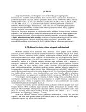 Medienos gabenimas 2 puslapis